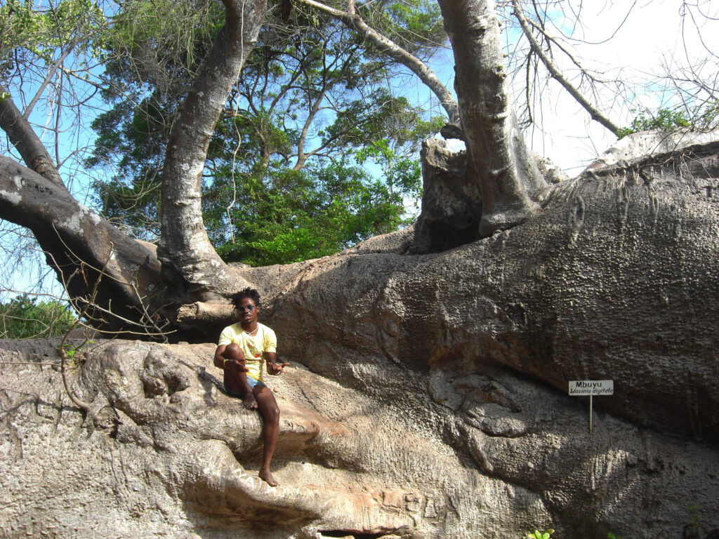 zanzibar_vivilocal_framitour_5 (1)